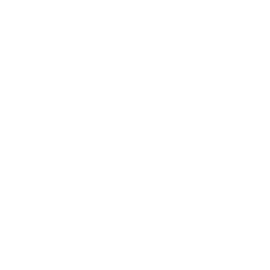 Icon_coaching-perso
