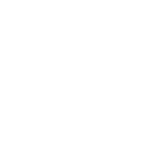 Icon_coaching