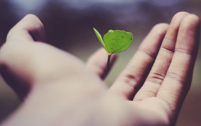 Trouver sa mission de vie